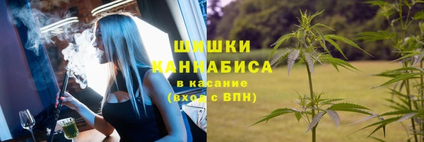 крисы Аркадак