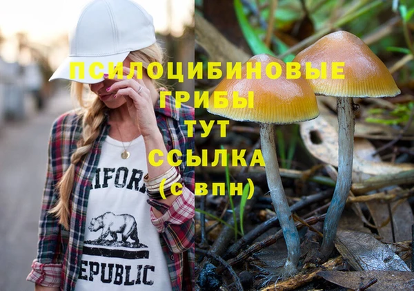 гашиш Арсеньев