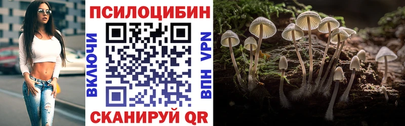 Галлюциногенные грибы Cubensis  Нязепетровск 