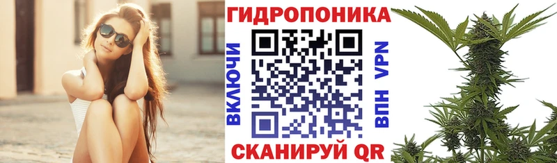 Марихуана AK-47  мега tor  Нязепетровск 